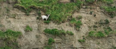 Insight Q3 2023 - Finding a new balance